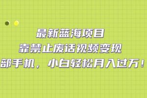 （7276期）最新蓝海项目，靠禁止废话视频变现，一部手机，小白轻松月入过万！