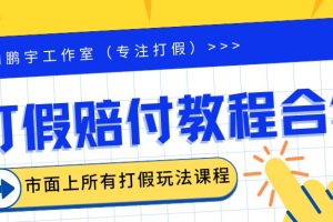 （6425期）2023年全套打假合集，集合市面所有正规打假玩法（非正规打假的没有）
