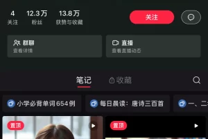 【风向标】小红书Ai，可复制商业、能做任何行业，新型玩法