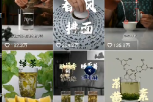 【风向标】11个视频，涨粉199.6万，抖音茶叶短视频这样做！
