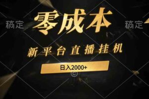 （9841期）新平台直播挂机最新玩法，0成本，不违规，日入2000+