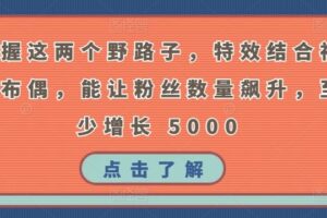 掌握这两个野路子，特效结合神奇布偶，能让粉丝数量飙升，至少增长 5000【揭秘】