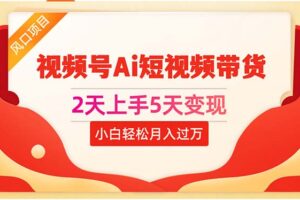 （10807期）2天上手5天变现视频号Ai短视频带货0粉丝0基础小白轻松月入过万