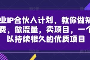 创业IP合伙人计划，教你做知识付费，做流量，卖项目，一个可以持续很久的优质项目