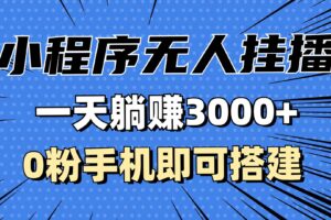 （13210期）抖音小程序无人直播，一天躺赚3000+，0粉手机可搭建，不违规不限流，小…