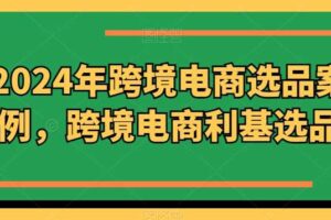 2024年跨境电商选品案例，跨境电商利基选品（更新11月）
