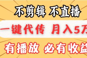 （13555期）不剪辑不直播，一键代发，月入5万懒人必备，我出视频你来发