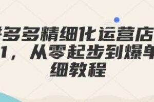 拼多多精细化运营店铺0-1，从零起步到爆单详细教程