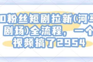 0粉丝短剧拉新(河马剧场)全流程，一个视频搞了2954
