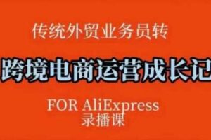 跨境电商速卖通运营课，​运营方法论+后台实操，逻辑清晰