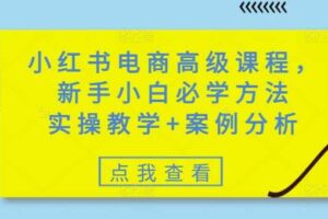 小红书电商高级课程，新手小白必学方法，实操教学+案例分析