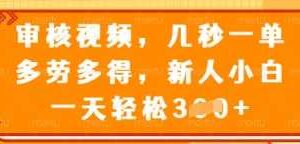 审核视频，几秒一单，多劳多得，新人小白一天轻松3张【揭秘】