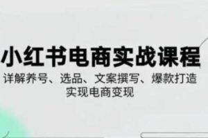 小红书从0-1实操课(2023-2025)，详解养号、选品、文案撰写、爆款打造实现电商变现
