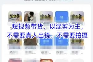 宝子哥头部团队短视频带货，以混剪为主，不需要真人出镜，不需要拍摄