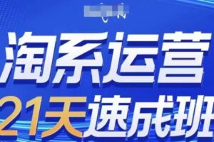 淘系运营21天速成班(更新25年5月)，0基础轻松搞定淘系运营，不做假把式