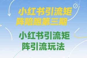 小红书引流矩阵陪跑第三期，小红书引流矩阵引流玩法