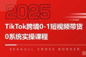 TikTok跨境0-1短视频带货，系统拆解TikTok跨境带货全链路，实现跨境可持续盈利