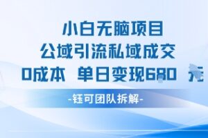小白无脑项目公域引流私域成交0成本单日变现680米