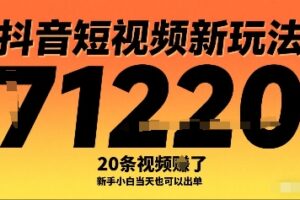 抖音短视频新玩法，20条视频挣了1w+，新手小白当天也可以出单