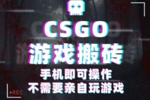 CSGO游戏挂G捡漏，单日扫货5张+，年底小高峰上车可吃肉，手机即可操作，兼职副业创业网创【揭秘】