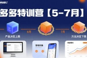 多多特训营，产品决定上限，方法决定下限，各种玩法技巧落地实操（更新）
