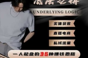 一个人起盘的底层逻辑,私域流量-直播电商-实体获客,一人起盘的36种賺钱思路