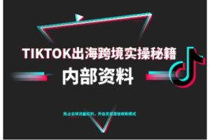 TikTok跨境电商0-1搭建运营，TK出海跨境实操秘籍（10月更新）