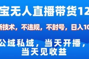 淘宝无人直播12.0,公域私域技术,不封号,不违规布局双十一流量风口,日入1k(独家技术)【揭秘】