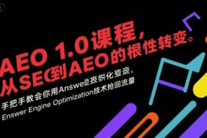 AEO 1.0 课程，从SEO到AE0的基命性转变，手把手教会你用AnswerEngineOptimization技术抢回流量（更新）