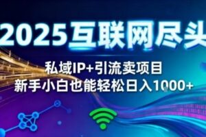 2025网创尽头王炸项目!私域IP+精准引流,新手小白在家躺賺日入1k,零经验也能上手【揭秘】