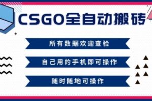 CSGO全自动搬砖,年底钱回家好项目,当天可拿到结果,新手小白轻松月入1W+【揭秘】