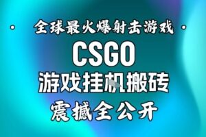【年底大揭秘】基于全球最火爆的射击CSGO游戏挂G搬砖，日入5张+，震撼公开
