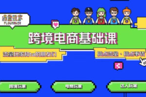 TikTok跨境电商基础课，专为想深耕跨境赛道的粉丝打造，解决抖音外站教学限制痛点