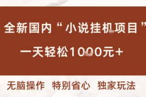 全新国内小说挂G项目,多窗口无脑跑,一天轻松1k+,特别省心【揭秘】
